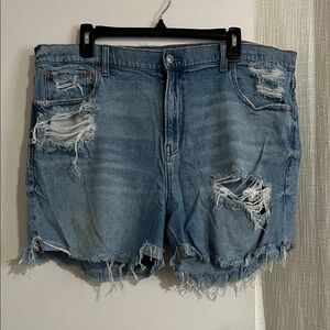 American Eagle Outfitters Light Blue Distressed Jean Shorts